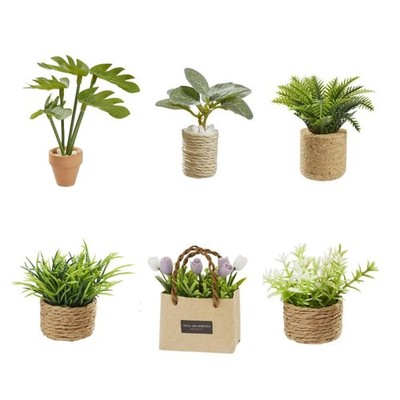 Miniatur Zimmerpflanzen 5 - 9 cm Pflanzen Topf  Tüte Palme Blumen Blatt, Wichtel