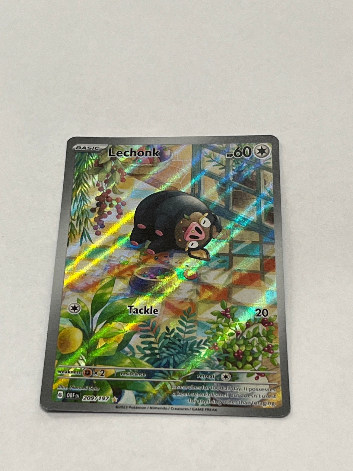 Lechonk 209/197 Illustration Rare Holo Obsidian Flames Pokemon 2023 NM Ungraded