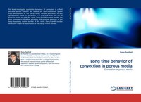 Long Time Behavior Of Convection In Porous Media Convection In Porous Media Buch
