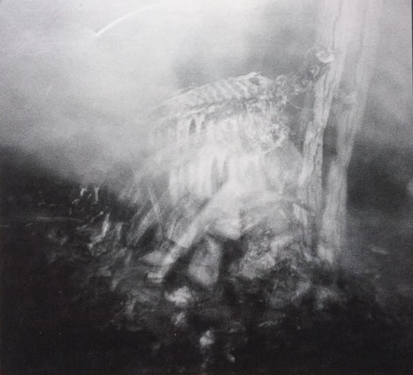 Vile Creature Preservation Rituals 2015 - 2018 Doppel-CD USA Prosthetic 2019 - Bild 3 von 4