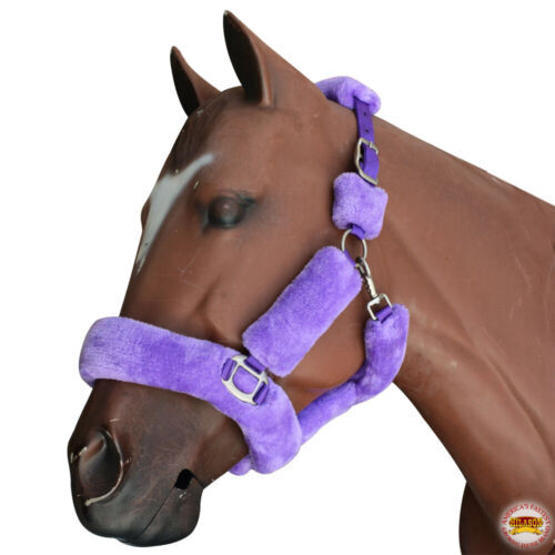 Gilet airbag d'équitation : est-ce efficace