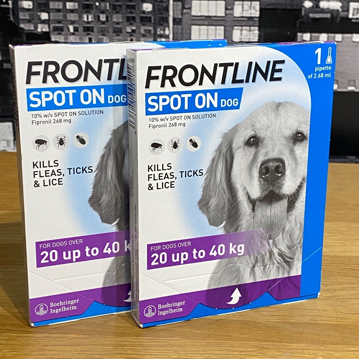FRONTLINE Spot On Flea and Tick Treatment for Large Dogs - Pack Size : 1 Pipette - Image 3