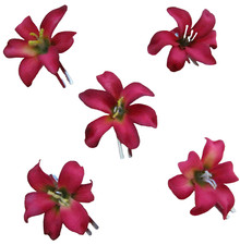5 Piece Lot Small 2" Red Lily Silk Flower Hair Clips, Wedding, Prom, Dance,Luau