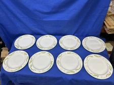 Set of 8  pieces of Bernardaud Frivole Dinner plates Excellent condition