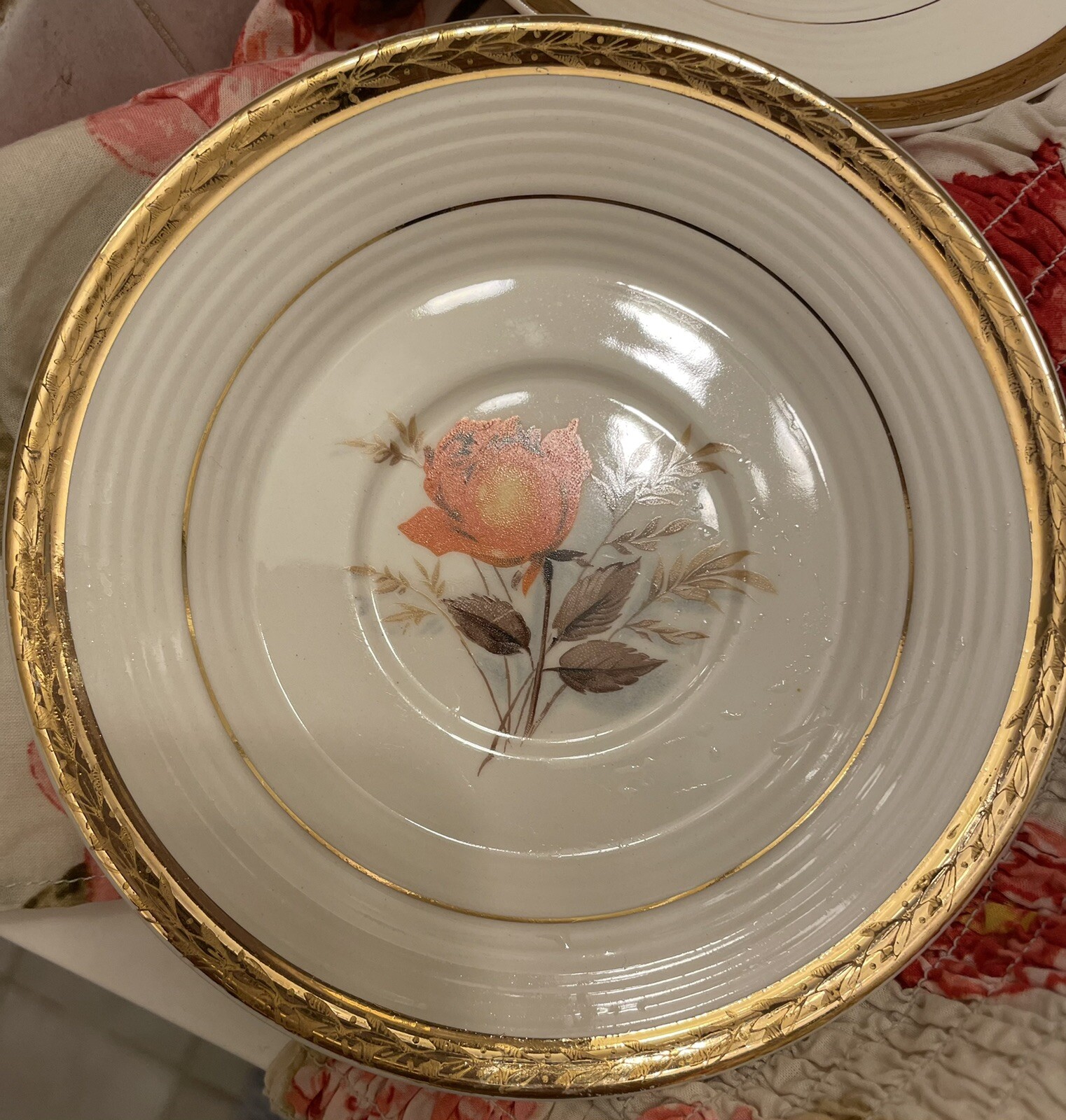 triumph american limoges vermillion rose eBay