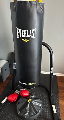 Everlast punching bag with stand, floor anchor, mats and gloves
