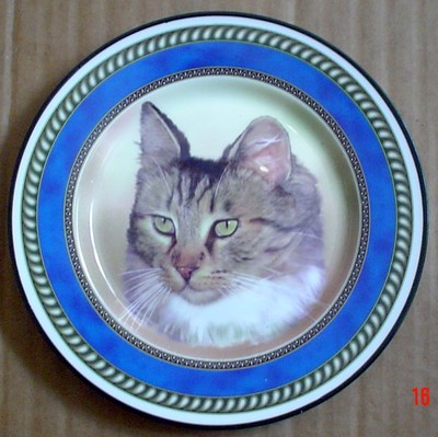 Schöne Tabby Katze 8 Zoll Sammlerteller 