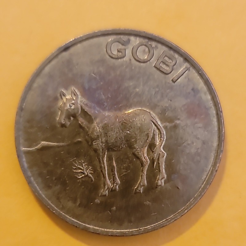 MONGOLIA GOBI RARE MEDAL EQUUS,HEMIONUS,PALLAS  TOKEN 