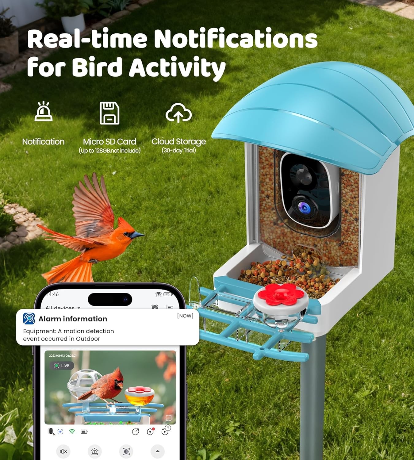 Bird Feeder with Camera Solar Powered: Smart Feeders for Outdoors Blue 