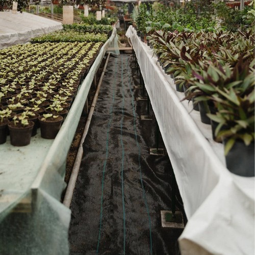 5'x 250' Weed Barrier Landscape Fabric Ground Cover 5oz PP - Picture 8 of 12
