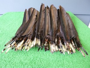 TURKEY FEATHERS LOT - 13" TO 15" LONG - BROWNS W/ HIGHLIGHTES