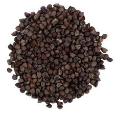 Eva Impex Beejband Whole - Sida Cordifolia (Country Mallow)