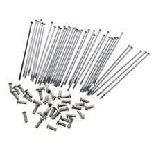 36x Kit de Rayon Avec Mamelon Avant pour MZ ETZ Ts Ça 150 250 251, 18' Jantes