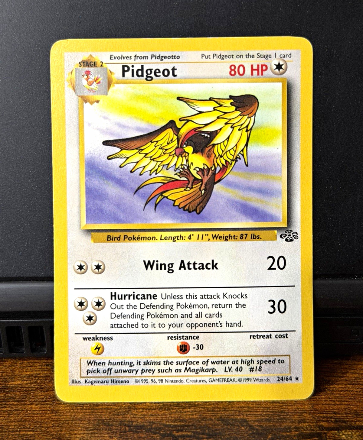 Pokémon TCG Pidgeot Jungle 24/64 Regular Rare Unlimited Eng 1999 80HP Stage 2