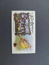 2025 Topps Allen & Ginter  -  Western Meadowlark Bird Mini Card #SB-50