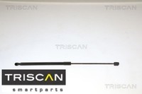 Triscan 871038221 Gasfeder FüR Koffer-/Laderaum Gasfeder GasdäMpfer