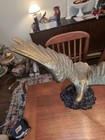 Picture 6 of 13