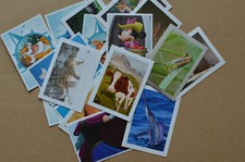 REWE - Was ist Was - Abenteuer Tierwelt - 2016 - Sticker Aufkleber - Disney