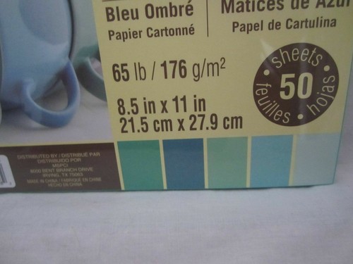 RECOLLECTIONS CARDSTOCK Paper 8 1/2" x 11" 50 Sheets 65 lb 5 COLOR PACK U PICK - Picture 10 of 82