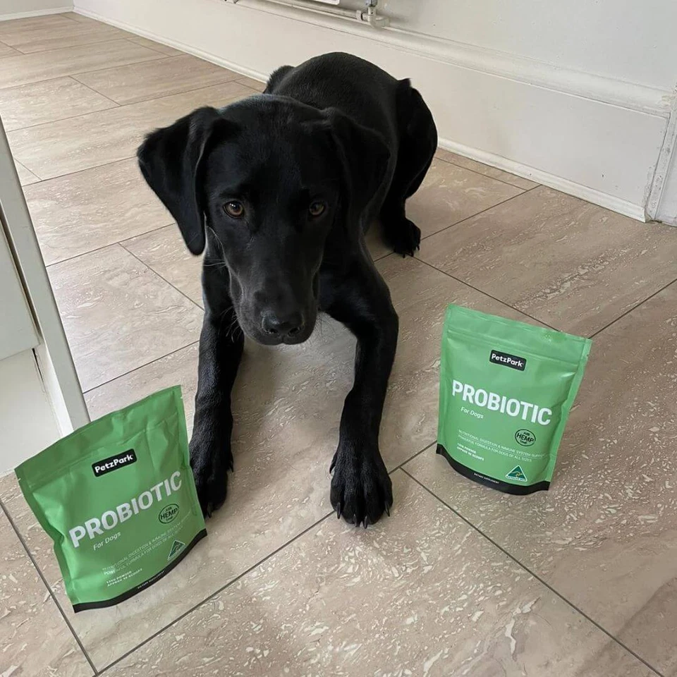 Probiotic For Dogs - Paw Licking, Yeast Infection, Diarrhoea, Gas, Multi-Strain - image 3 of 4