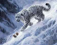 Animals Snow Leopard Landscape Canvas Art Home Decor Wall Art Prints Painting 55