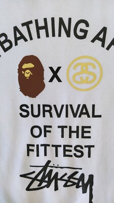 BAPE x Stüssy Survival of the Fittest SMALL Sweater, a bathing ape stussy Jumper