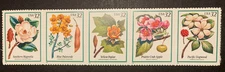 US Stamps #3197 Flowering Trees Set Incl 8 x 11 Preliminary Design Negative
