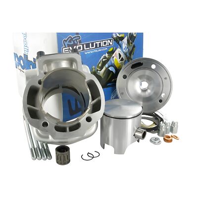 Zylinder Kit Polini big Evolution 94cc für Gilera DNA Runner Cat SP 50