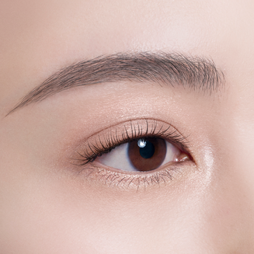 Cosme Decorte Skin Shadow Designing Palette 09 / 10 (Spring 2026