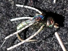 FLY FISHING FLIES BEAD HEAD SIZE 12 SPITFIRE PEARL IDYLWILDE FLY COMPANY 