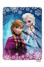 Disney Frozen Throw Blanket - Soft Fluffy Warm - 60"x80" - Elsa Anna