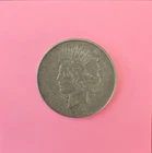 PEACE SILVER DOLLAR (1)