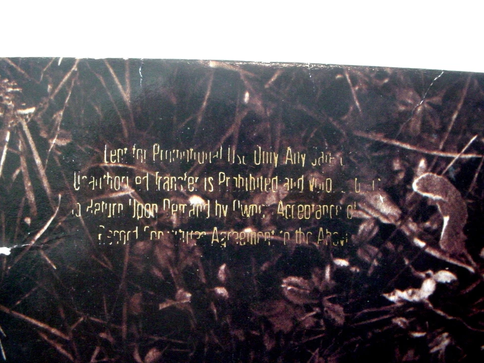 DAVID SYLVIAN and HOLGER CZUKAY Plight & Premonition PROMO 1988 Virgin Can Japan - Image 3 of 4