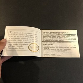 to the earth nes Manual