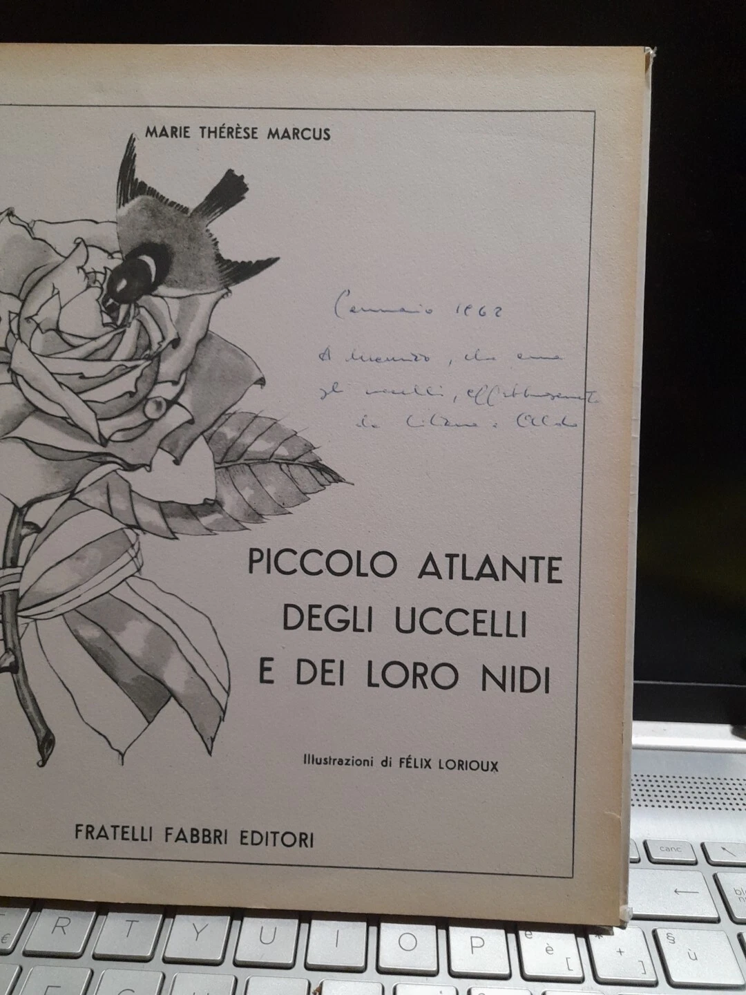 Foto 2 di 4
