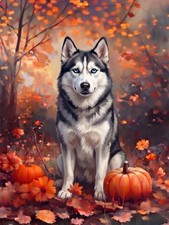 Fall Siberian Husky With Pumpkins Diamond Art Kit