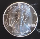 1987 American Eagle Toned Walking Liberty Bullion Vtg-0.999 Silver 1 Oz Coin 1s