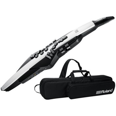 Roland Aerophone AE-20 Digital Wind Instrument for sale online | eBay