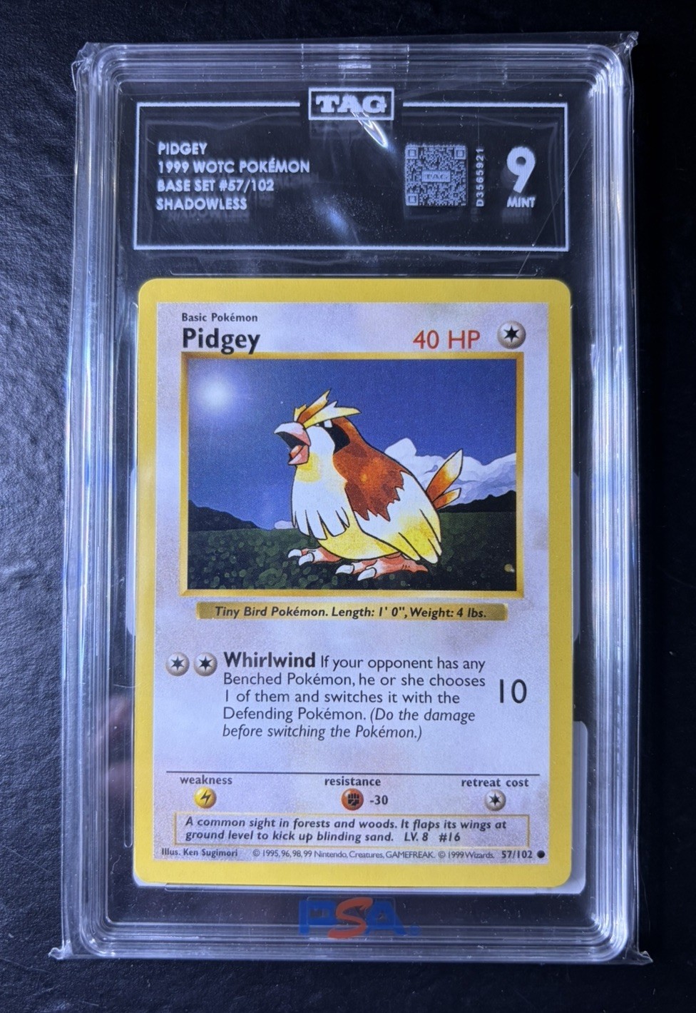 Pokemon Base Set Shadowless - Pidgey 57/102 - Graded TAG 9 - Mint