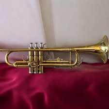 Trumpet 3 Valve Brass Gold with Case and Beginner Guide Book