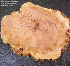 Maple Burl Slab  Cookie Cut  Craft Woods  DIY  River Table  MA24-0965