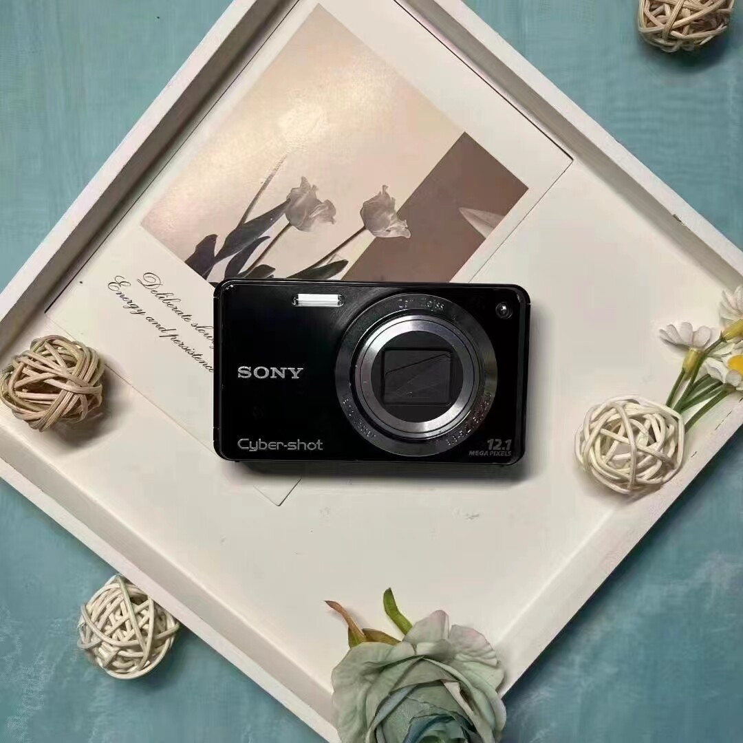 Sony Cyber-shot DSC-W270 12.1MP 5x Optical Zoom CCD Digital Camera