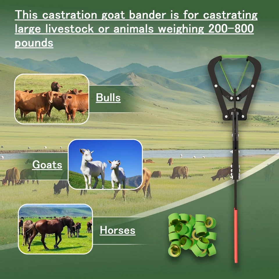 Extra Large Castration Banding Tool, Cattle Goat Bander with 24 Castration Bands - Image 2 of 4