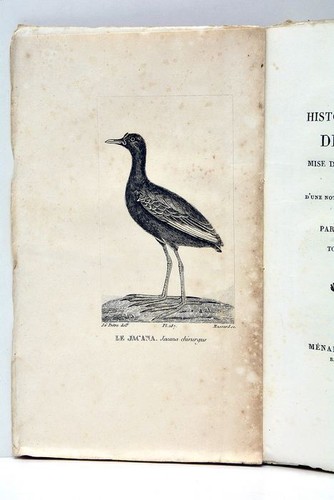 Histoire Naturelle de BUFFON dans un nouvel ordre Tome 33 Planches Paris 1826 - Picture 3 of 10