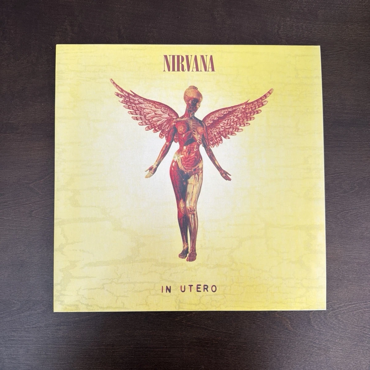 Nirvana Indiana Utero Indiana Vinyl Records for sale - eBay