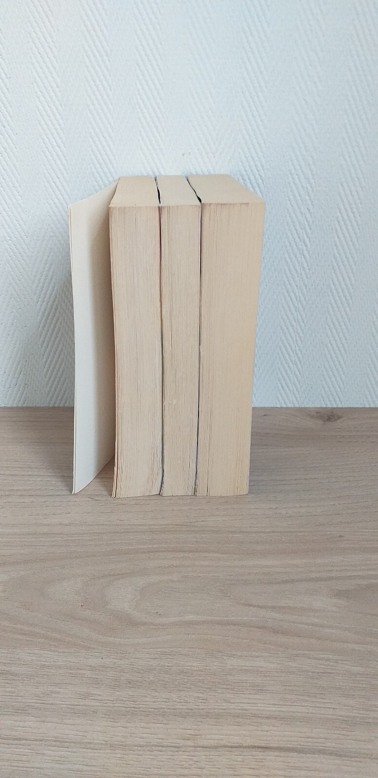 Bild 4 von 19