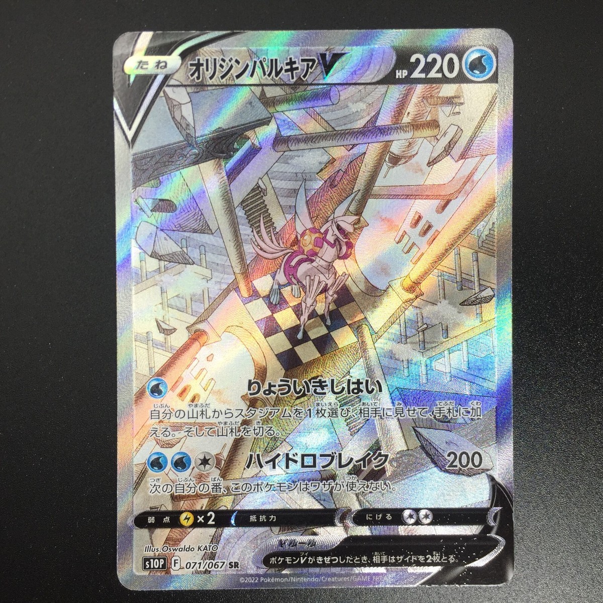 746〓激レア Plinia rara 超希少ジャボチカバ 期間限定出品 Yahoo