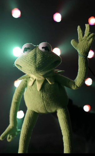 kermit the frog puppet / hand puppet - Picture 3 of 5