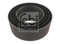 Febi Bilstein Lagerung, Blattfeder