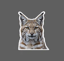 Bobcat Sticker Waterproof Decal Animal Cat Outdoor Wildlife Nature Gift NEW